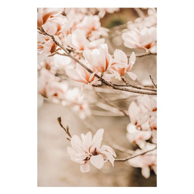Lavagna magnetica - Ramo di magnolia in stile vintage