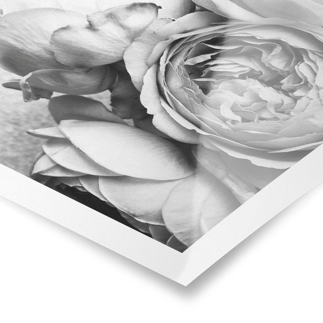 Poster - Peony fiori bianchi e nero - Verticale 3:2
