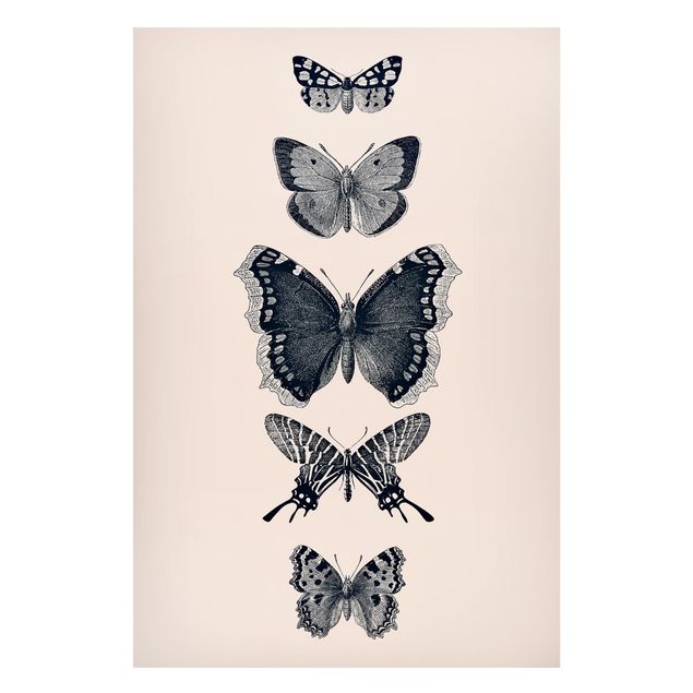 Lavagna magnetica per ufficio Farfalle d'inchiostro su sfondo beige