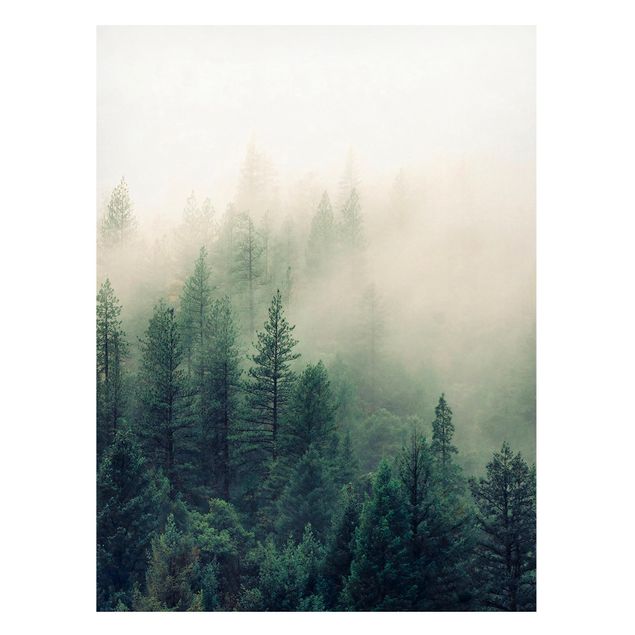 Lavagna magnetica - Foresta nebbiosa al risveglio