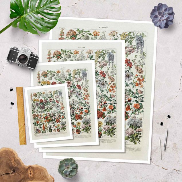 Poster - Vintage Consiglio Flowers II - Verticale 4:3