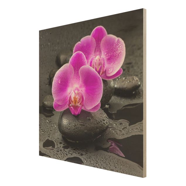 Stampa su legno - Pink Orchid Fiori Sulle Pietre Con Le Gocce - Quadrato 1:1