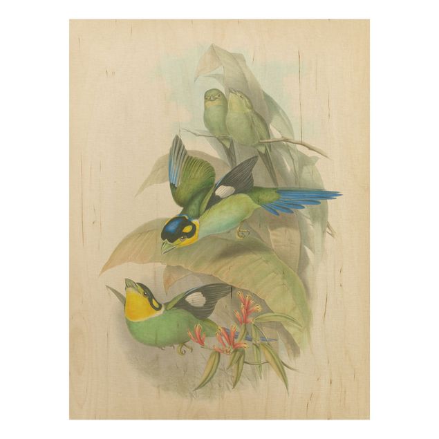 Stampa su legno - Illustrazione Vintage Uccelli tropicali - Verticale 4:3