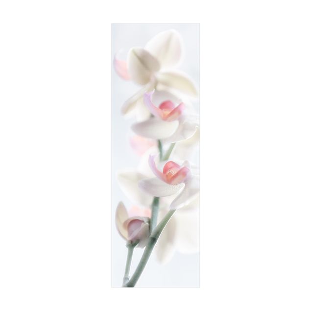 Tappeto bianco salotto Delicata orchidea