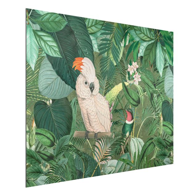 stampe animali Collage vintage - Cacatua e colibrì