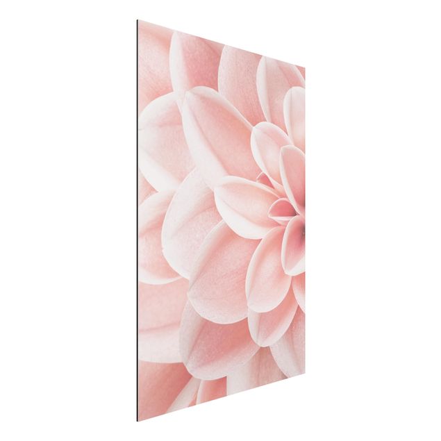 Franziska Pöge quadri Dettaglio dei petali rosa della Dalia