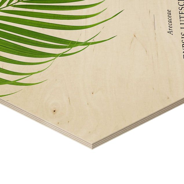 Esagono in legno - Foglia tropicale Areca Palm
