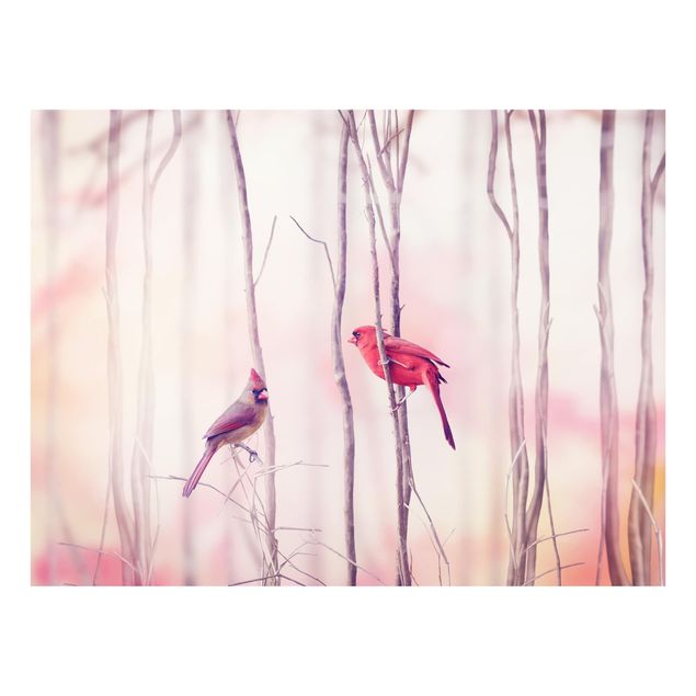 Paraschizzi in vetro - Birds on branches