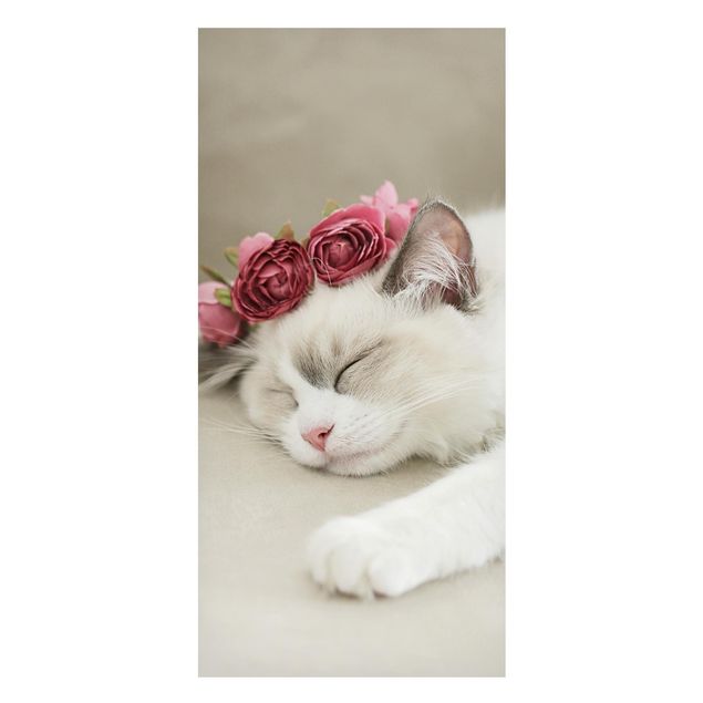 Lavagna magnetica bianco Gatto addormentato con rose