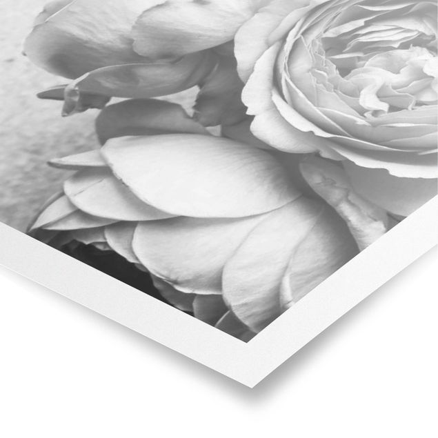 Poster - Peony fiori bianchi e nero - Verticale 4:3