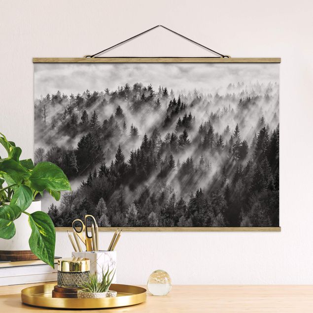 Foto su tessuto da parete con bastone - Raggi Luce nella foresta di conifere - Orizzontale 2:3