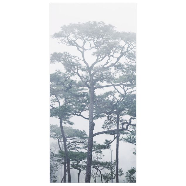 Tenda a pannello - Treetops In Fog - 250x120cm