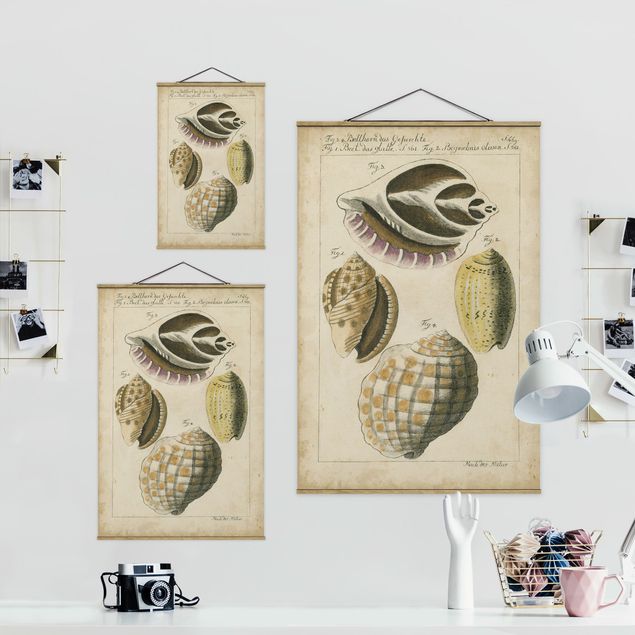 Foto su tessuto da parete con bastone - Vintage Conch Disegno Giallo - Verticale 3:2