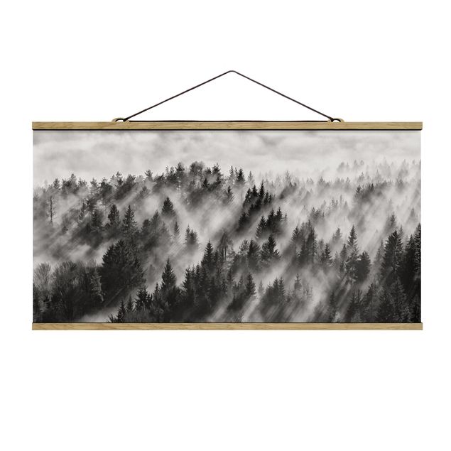 Quadro su tessuto con stecche per poster - Raggi Luce nella foresta di conifere - Orizzontale 1:2