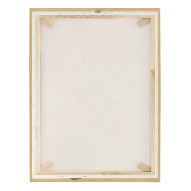 Quadro su tela naturale - Egon Schiele - Torso femminile in biancheria - Formato verticale 3:4