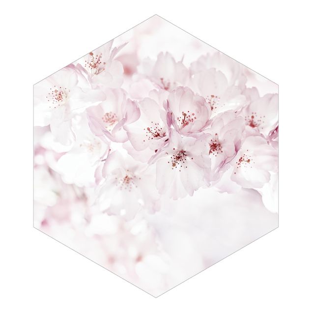 Carta da parati esagonale adesiva con disegni - Tocco di fiori di ciliegio