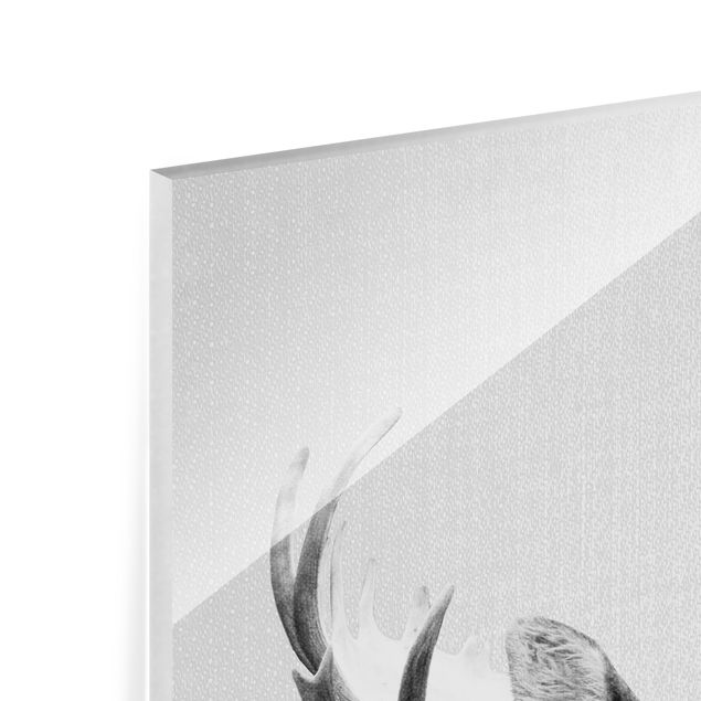 Quadro in vetro - Alce Erhardt in bianco e nero