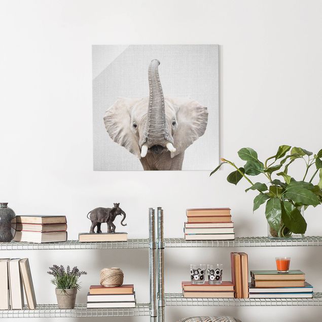 Gal Design quadri Elefante Ewald