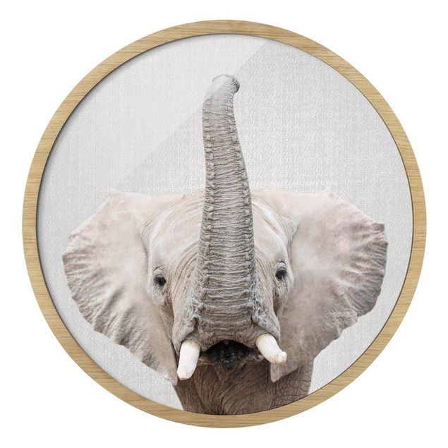 Quadro rotondo incorniciato - Elefante Ewald