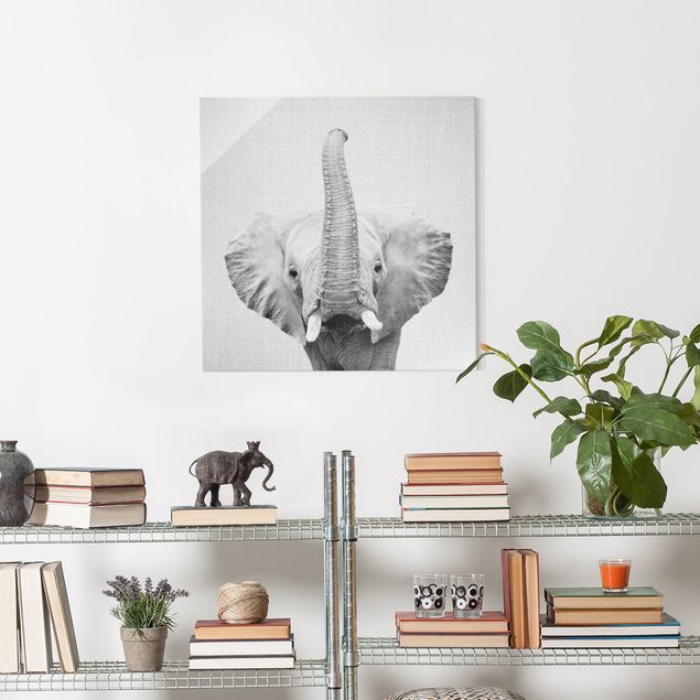 Gal Design quadri Elefante Ewald Bianco e Nero