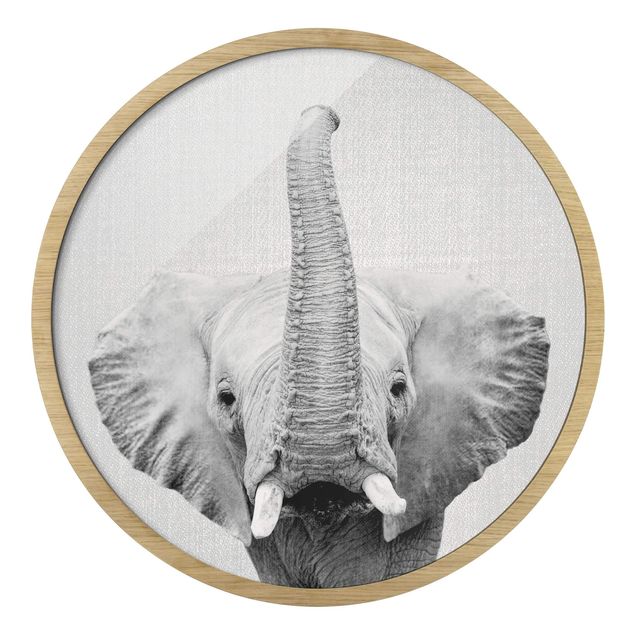 Quadro rotondo incorniciato - Elefante Ewald in bianco e nero