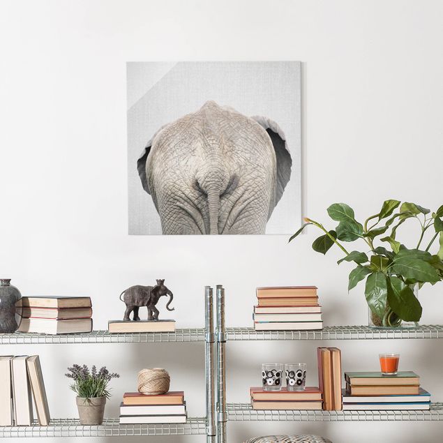 Lavagna magnetica vetro Elefante visto da dietro