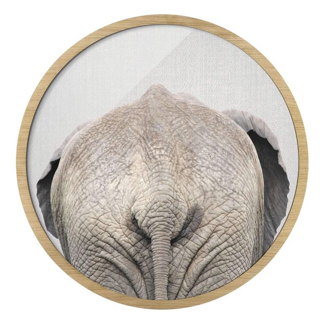 Quadro rotondo incorniciato - Elefante da dietro