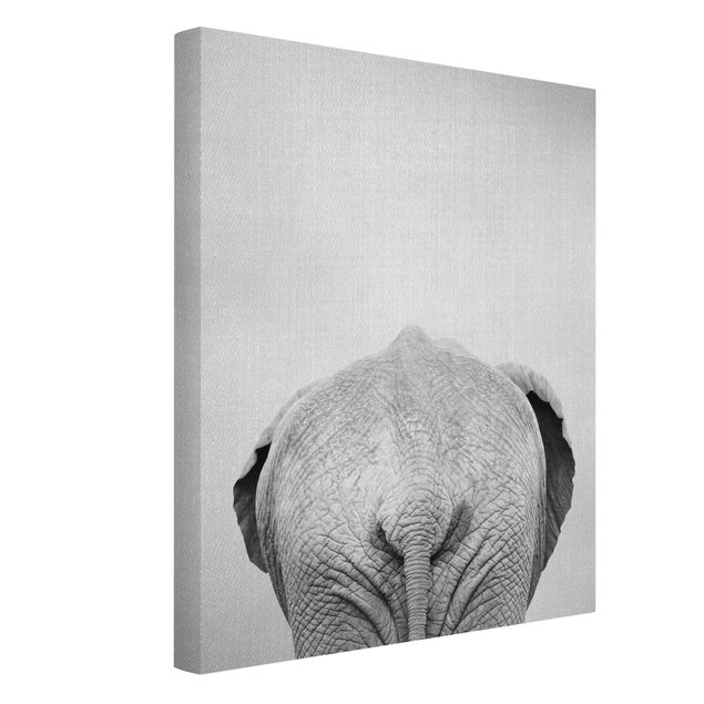 Stampe su tela animali Elefante da dietro bianco e nero