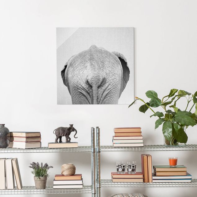 Lavagna magnetica in vetro Elefante da dietro bianco e nero