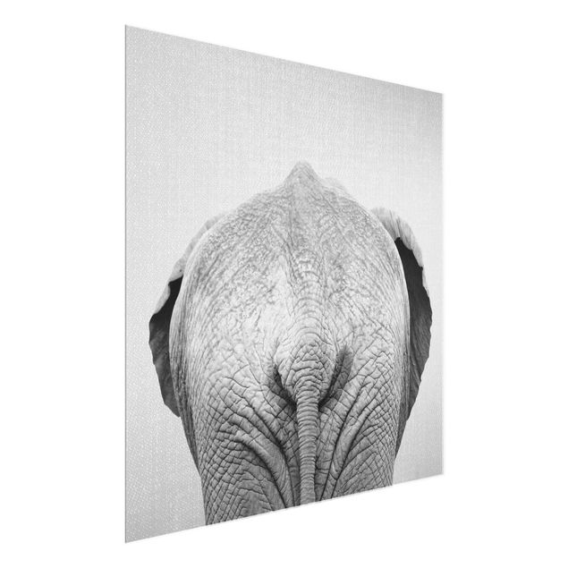 Quadro in vetro - Elefante da dietro Bianco Nero