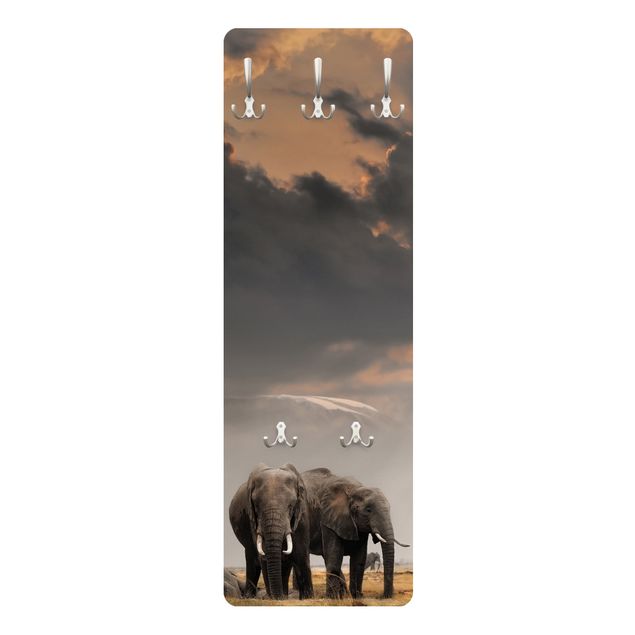 Appendiabiti - Elephant savanna
