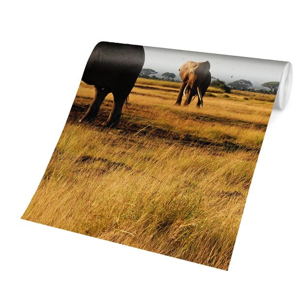 Carta da parati - Elephants in front of the Kilimanjaro in Kenya