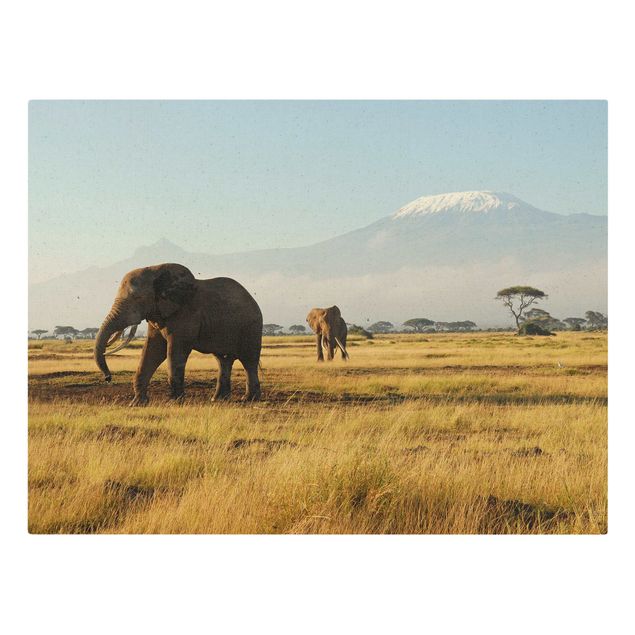 Quadri moderni per soggiorno Elefanti di fronte al Kilimangiaro in Kenya