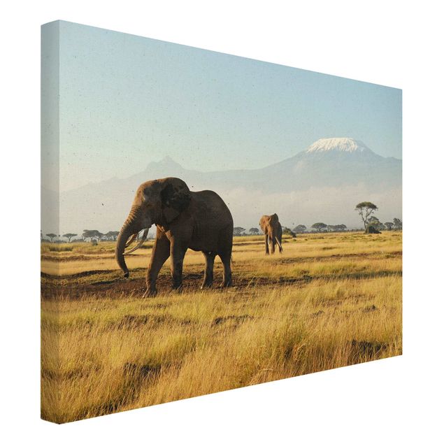 Quadri su tela Elefanti di fronte al Kilimangiaro in Kenya