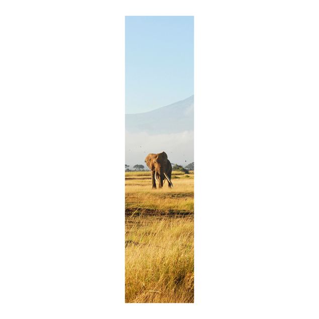 Set tende a pannello Elefanti di fronte al Kilimangiaro in Kenya