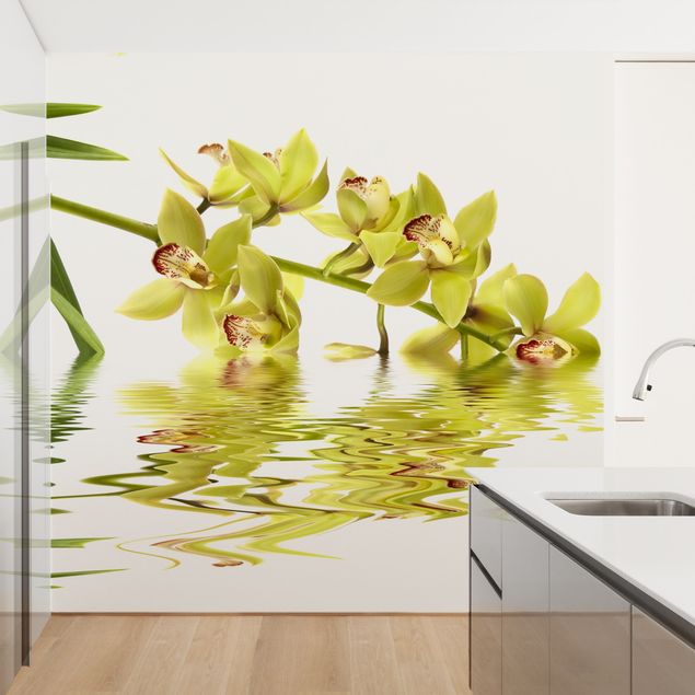 Carta da parati - Elegant Orchid Waters
