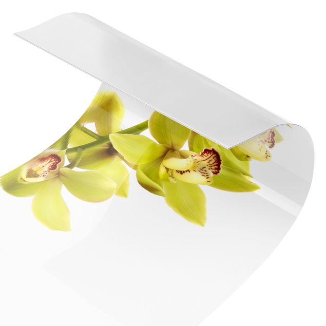 rivestimento cucina bianca Eleganti acque di orchidea