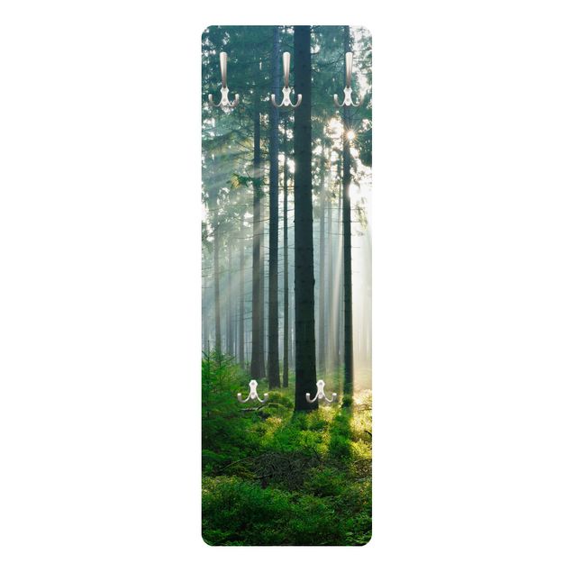 Appendiabiti - Enlightened Forest