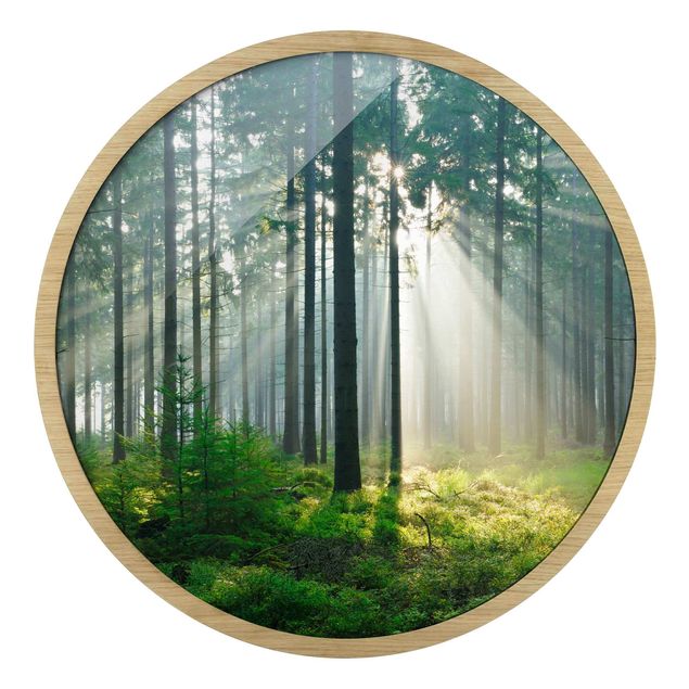 Quadro rotondo incorniciato - Enlightened Forest