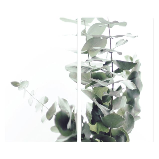 Coprifornelli - Eucalipto nella luce bianca