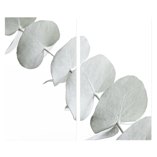 Coprifornelli - Ramo di eucalipto nella luce bianca
