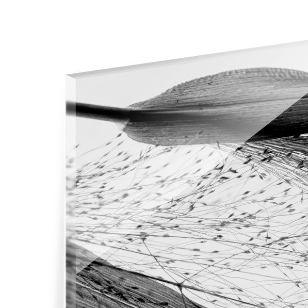 Paraschizzi in vetro - Canneto delicato con sottili gemme in bianco e nero - Quadrato 1:1