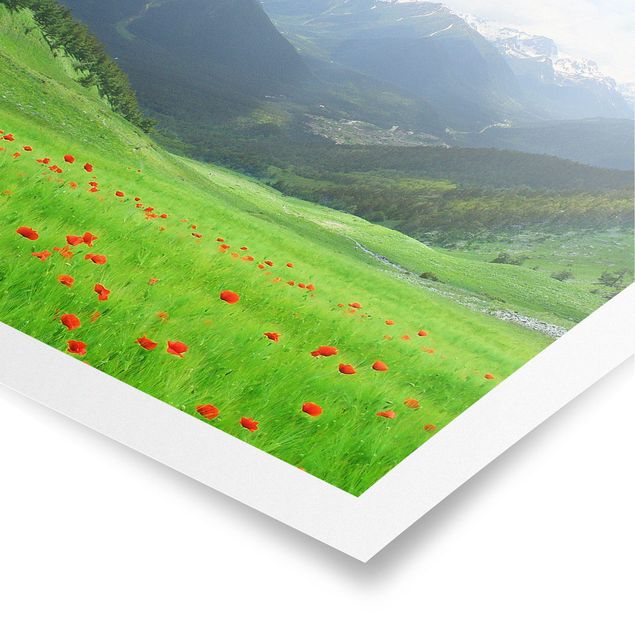 Poster - Alpine Prato - Quadrato 1:1