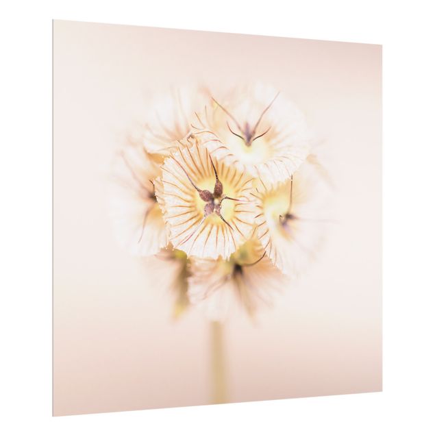 Paraschizzi in vetro - Mazzo di fiori in colori pastello II - Quadrato 1:1