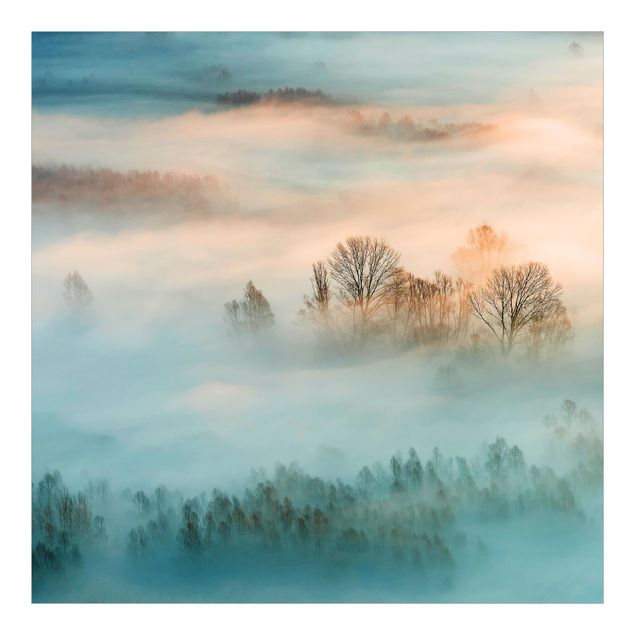 Carta da parati paesaggio - Nebbia all'alba