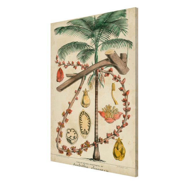Lavagna magnetica - Consiglio Vintage Exotic Palms II - Formato verticale 2:3