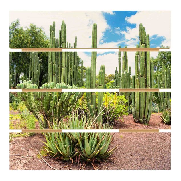 Stampa su legno - Cactus Paesaggio - Quadrato 1:1