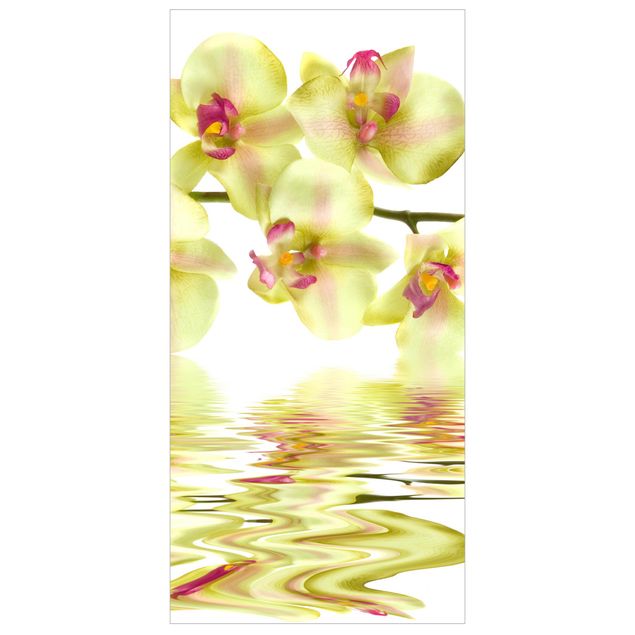 Tenda a pannello Dreamy Orchid Waters 250x120cm