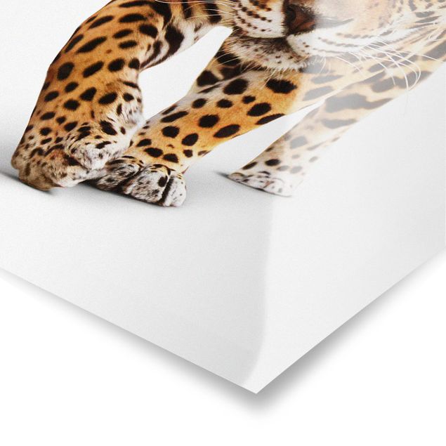 Poster - Creeping Jaguar - Verticale 3:2