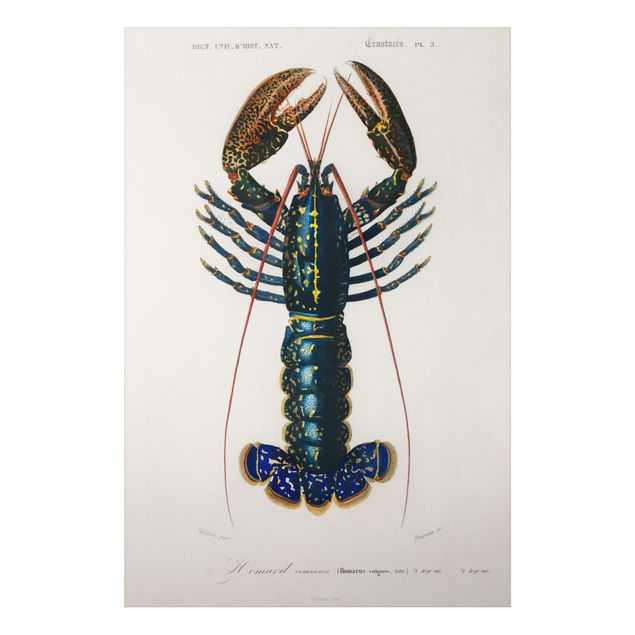 Stampa su alluminio spazzolato - Vintage Blue Board Lobster - Verticale 3:2